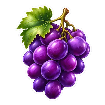 purple — morado
