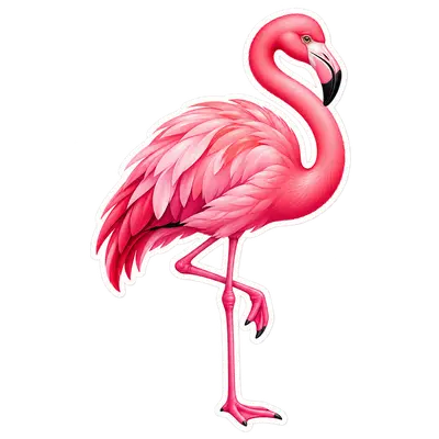 pink — rosado